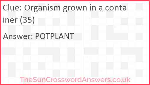 Organism grown in a container (35) Answer