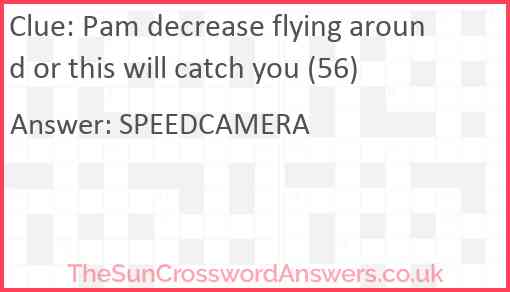 Pam decrease flying around or this will catch you (56) Answer
