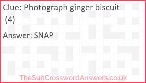 Photograph ginger biscuit (4) Answer