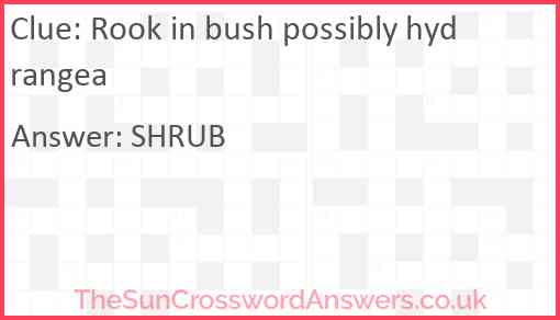 Rook in bush possibly hydrangea Answer