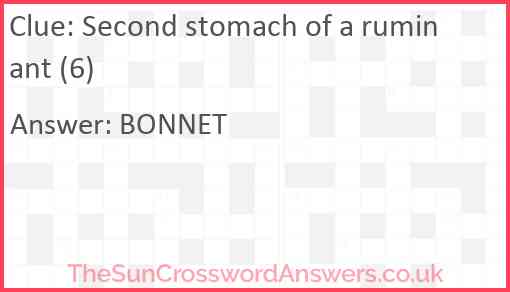 Second stomach of a ruminant (6) Answer