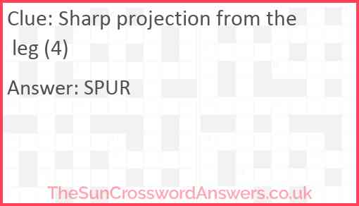 Sharp projection from the leg (4) Answer