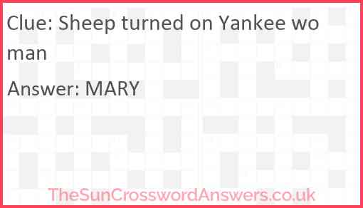 Sheep turned on Yankee woman Answer