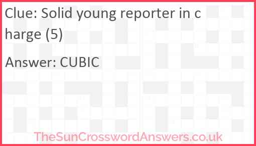 Solid young reporter in charge (5) Answer