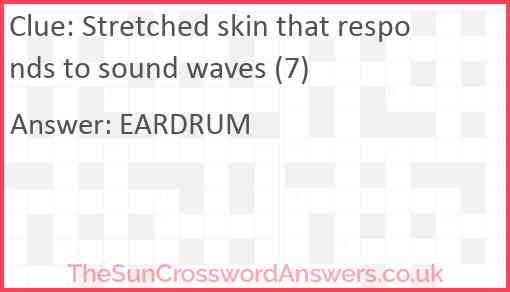 Stretched skin that responds to sound waves (7) Answer