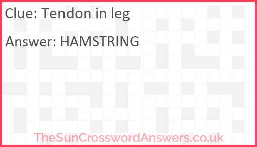 Tendon in leg Answer