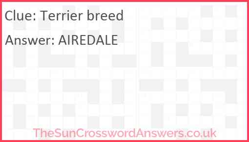 Terrier breed Answer