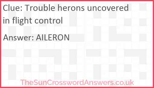 Trouble herons uncovered in flight control Answer