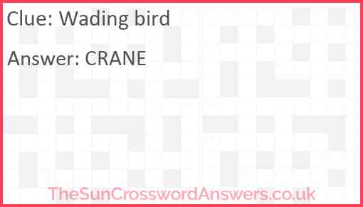 Wading bird Answer