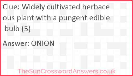 Widely cultivated herbaceous plant with a pungent edible bulb (5) Answer