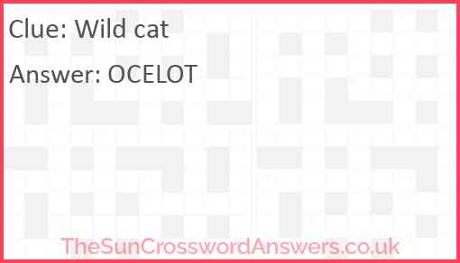 Wild cat Answer